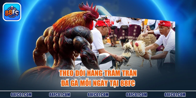 Theo dõi hàng trăm trận đá gà mỗi ngày tại 88FC